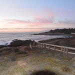 Cambria_0348 (November 02, 2013)